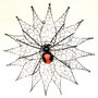 Wanddeco Wired Web Spider