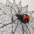 Wanddeco Wired Web Spider_